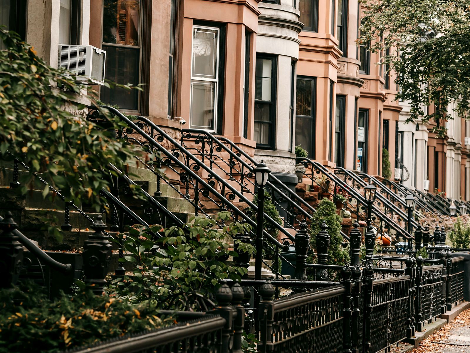 Row of bay-window brownstones along a tree-lined Brooklyn street